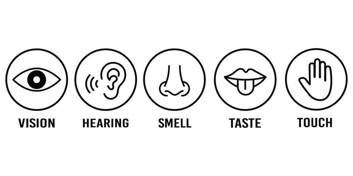 Human senses icon set. Vision eye, smell nose, hearing ear, touch hand, taste mouth with tongue. set of human five senses icon.