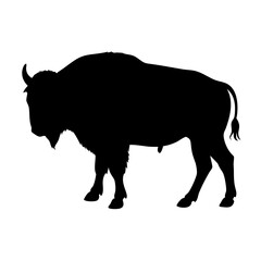 Bison silhouette vector graphic, american buffalo illustration, wildlife animal artwork, mammal design