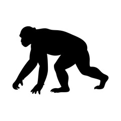 Silhouette of a chimpanzee primate great ape mammal animal wildlife vector illustration graphic art