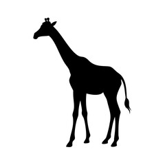 Giraffe silhouette vector art illustration of african wildlife animal with long neck mammal isolated