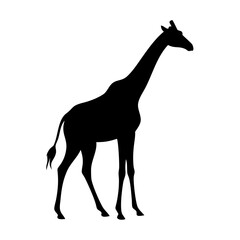 Isolated black giraffe silhouette vector illustration african wildlife animal design graphic art print vector