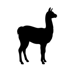 Llama silhouette vector art illustration graphic design template for print and web design use