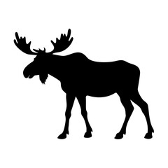 Isolated vector silhouette of a moose standing wildlife animal with large antlers design