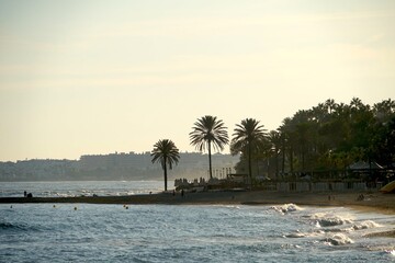palm trees on the beach, houses of the famous habor Puerto Banús behind, beautiful evening light at the Mediterranean Sea, Marbella, Malaga, Costa del Sol, Spain