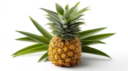 Fototapeta premium Whole Pineapple with Leaves on White Background Still Life