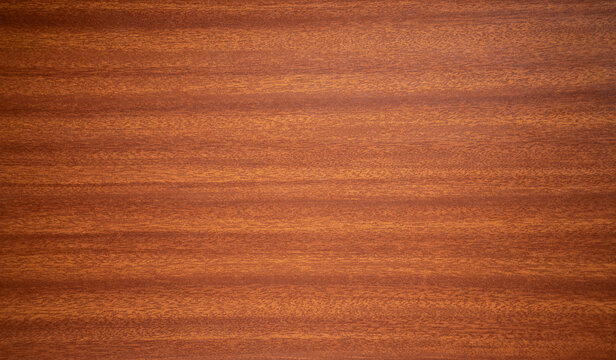 Mahogany sapele surface with wood texture.A photo of a wooden texture for the background.