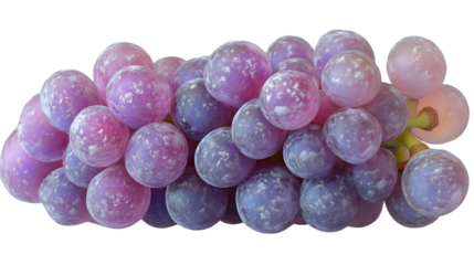 Closeup of a cluster of purple grapes with a frosty texture