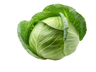 Obraz premium Fresh green cabbage isolated on transparent background