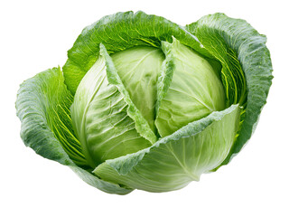 Fototapeta premium Fresh green cabbage isolated on transparent background