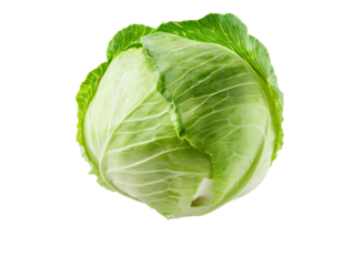 Fresh green cabbage isolated on transparent background