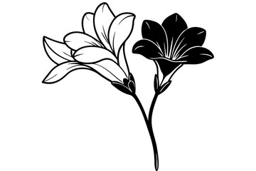 Freesia Bloom Outline Sketch