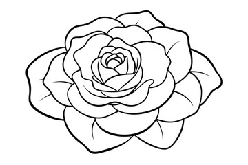 Camellia Bloom Outline Sketch