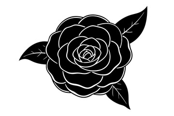 Camellia Petal Line Art