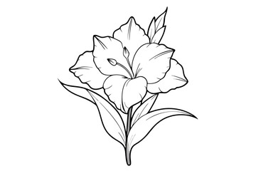 Obraz premium Gladiolus Bloom Line Art