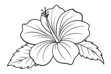Hibiscus Petals Outline Drawing