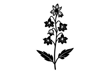 Larkspur Bloom Line Silhouette