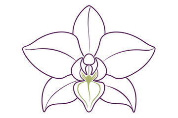 Orchid Silhouette Floral Art