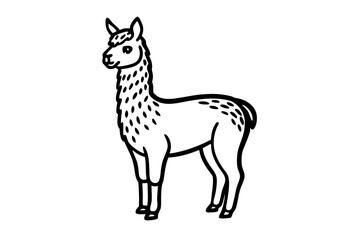 Alpaca Cute Animal Sketch