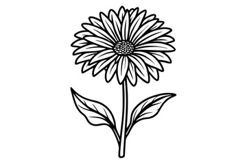 Calendula Bloom Silhouette Sketch