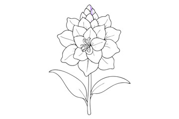 Delphinium Petal Line Drawing