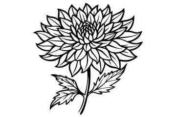 Chrysanthemum Bloom Silhouette