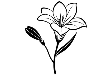 Freesia Flower Line Drawing