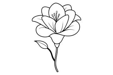 Freesia Elegant Line Art