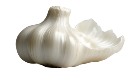 Fresh Garlic Bulb with Peeling Skin on a Black Background