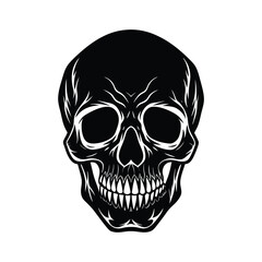 Isolated Skull on White Background For Hallowen