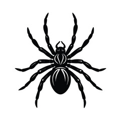 Isolated Spider Crawling on White Background For Hallowen