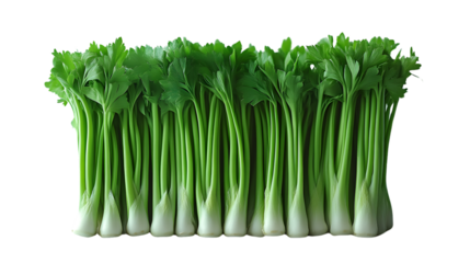 Fresh Green Leafy Vegetables in a Row Healthy Eating Organic Produce Culinary Ingredient Hi