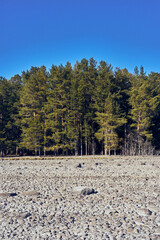 Landscape of Hovinsholmen island in Lake Mj&oslash;sa, April 2025.