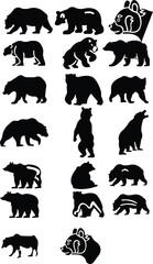 vector bear silhouette, wild, animal, dangers