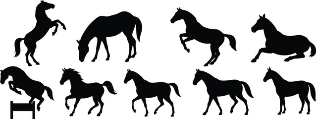 Set of Horse Silhouette Vector Illustrations – Galloping, Jumping, Standing and Resting Horse Poses