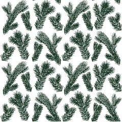Pine branch pattern fir tree endless seamless pattern. Vector illustration