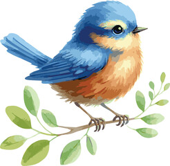 A watercolor vector of a cute blue bird