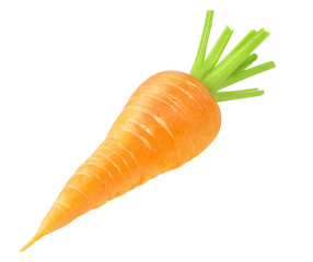 One raw carrot isolated on white background