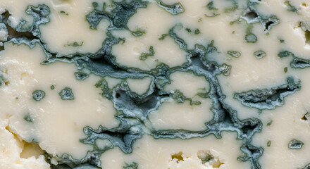 Close-up of blue cheese with veins and crumbly texture detail
