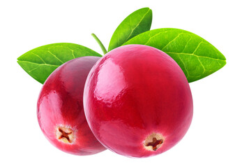 Two hanging cranberries with leaves cut out