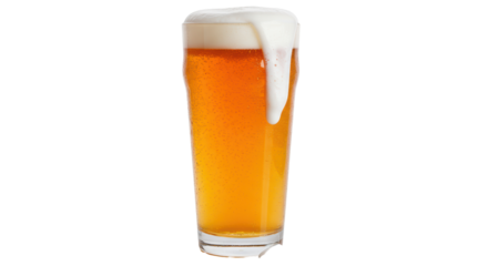 Isolated Beer Glass