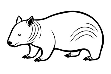 Obraz premium line art wombat illustration
