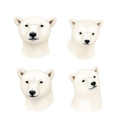 Set of White Polar Bear Head Icon Furry Mammal Animal Winter Wildlife Global Warming Climate Change Predator Watercolor Illustration