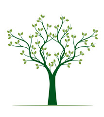 Shape of green Tree with Leaves. Vector outline Illustration.