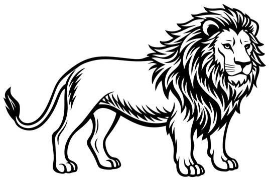 lion in simple line art