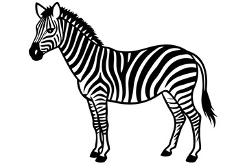 Obraz premium zebra in line art design
