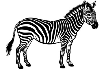line silhouette drawing of a zebra
