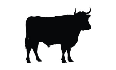 Highland cow silhouette, farm animal graphic