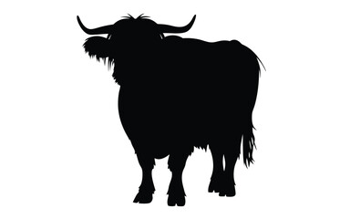Highland cow silhouette, farm animal graphic