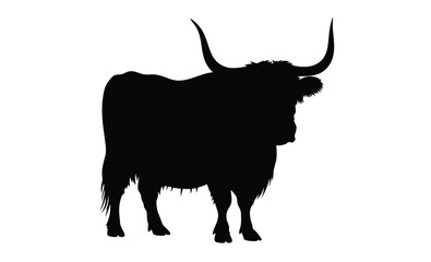 Highland cow silhouette, farm animal graphic