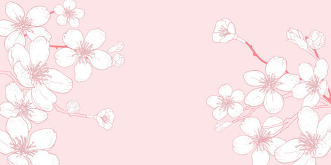 Vector horizontal pink background with line art of sakura branch with flowers. Hand drawn cherry branches. Vector illustration.